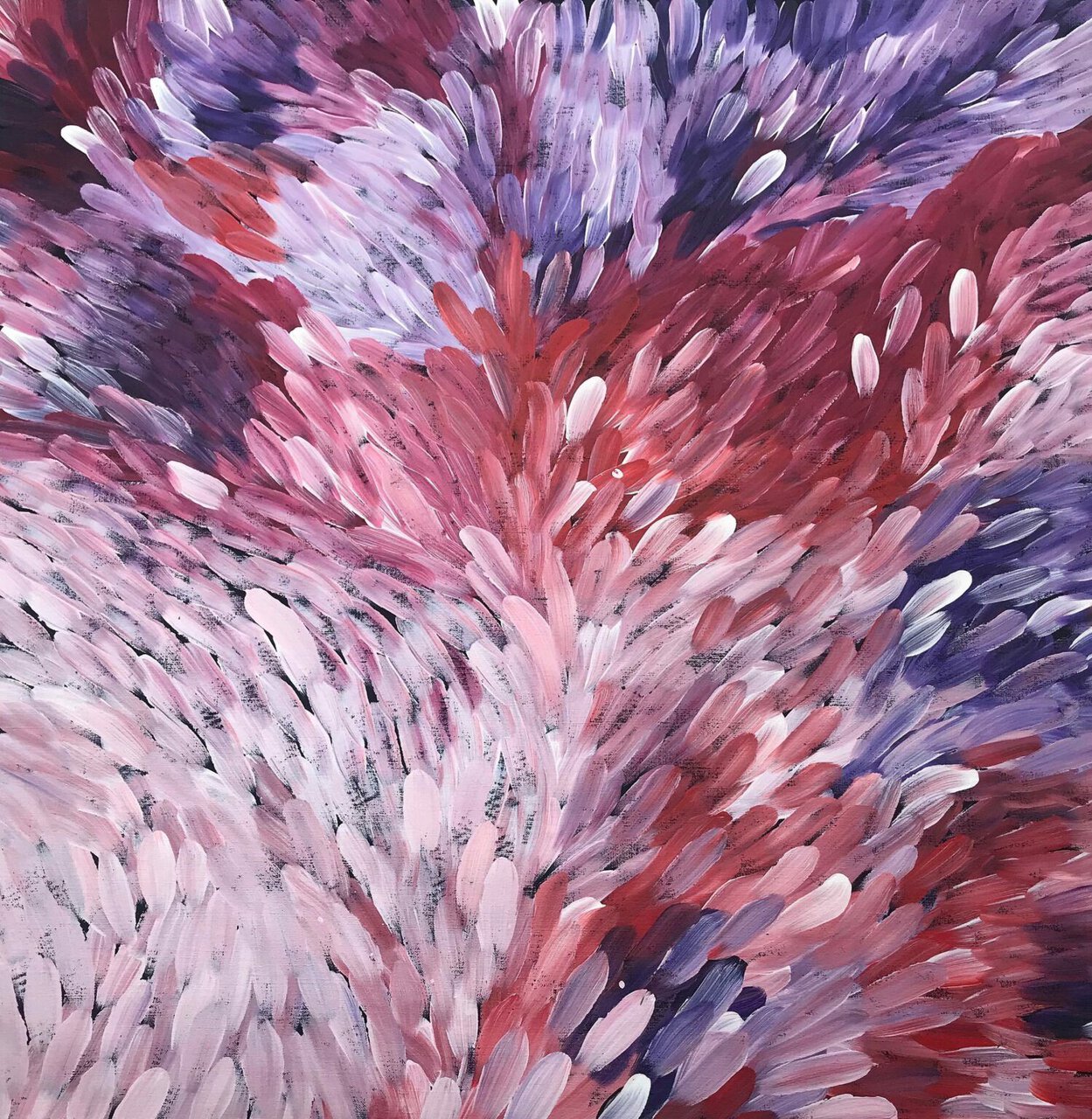 Gloria Petyarre '6985'