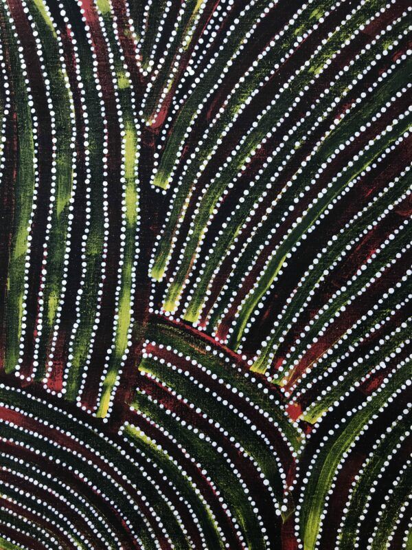 Nancy Petyarre '5444'