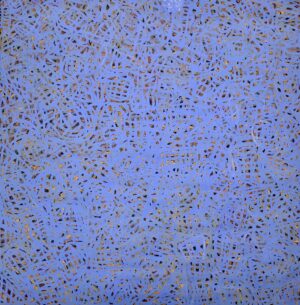 Emily Pwerle '7093'