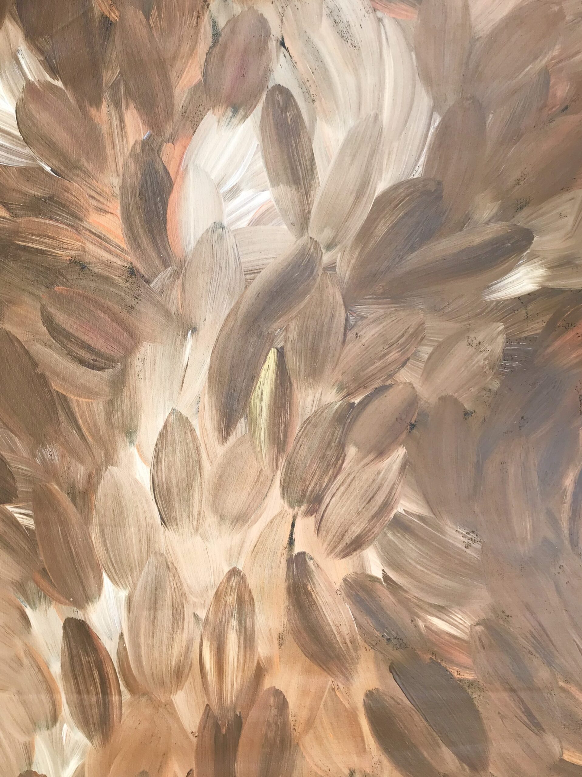 Gloria Petyarre '8381'