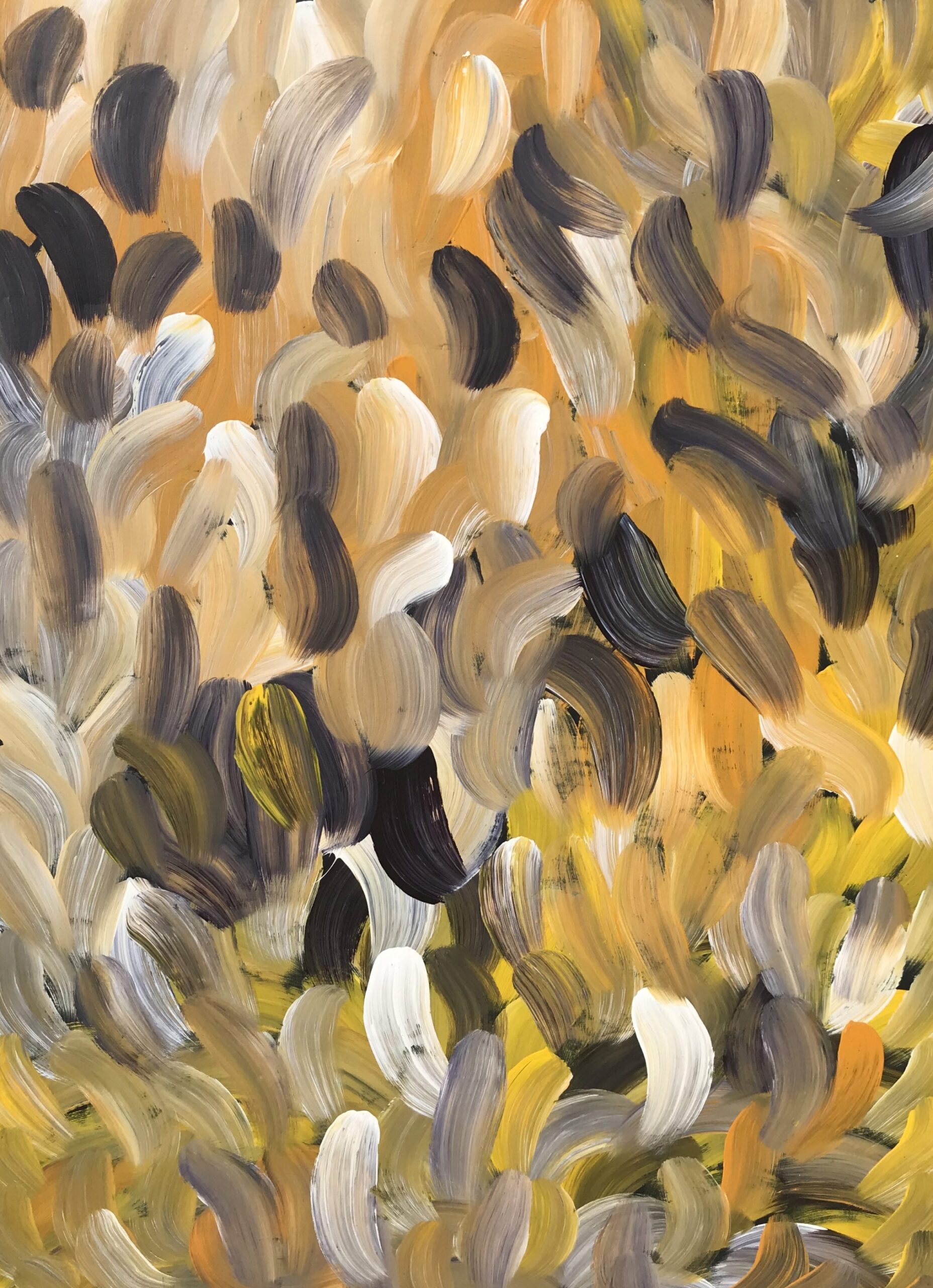 Gloria Petyarre '9316'