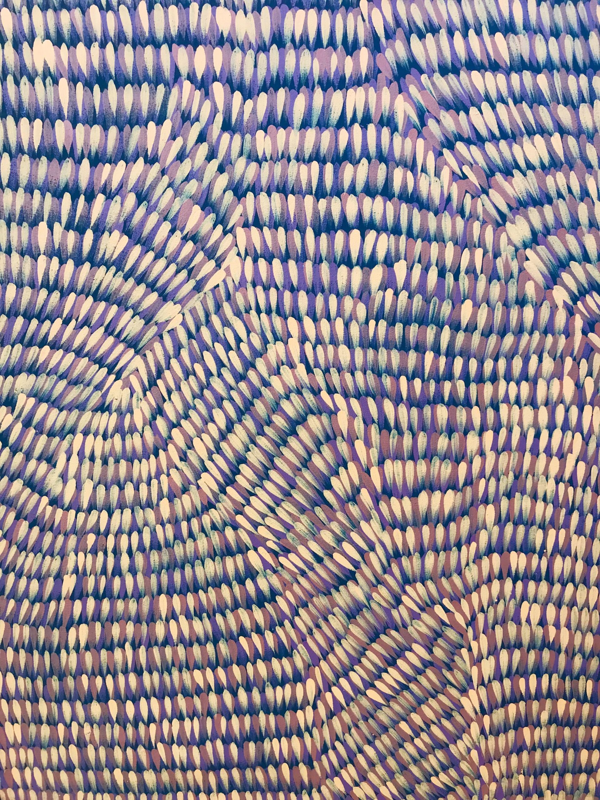 Gloria Petyarre '5013'