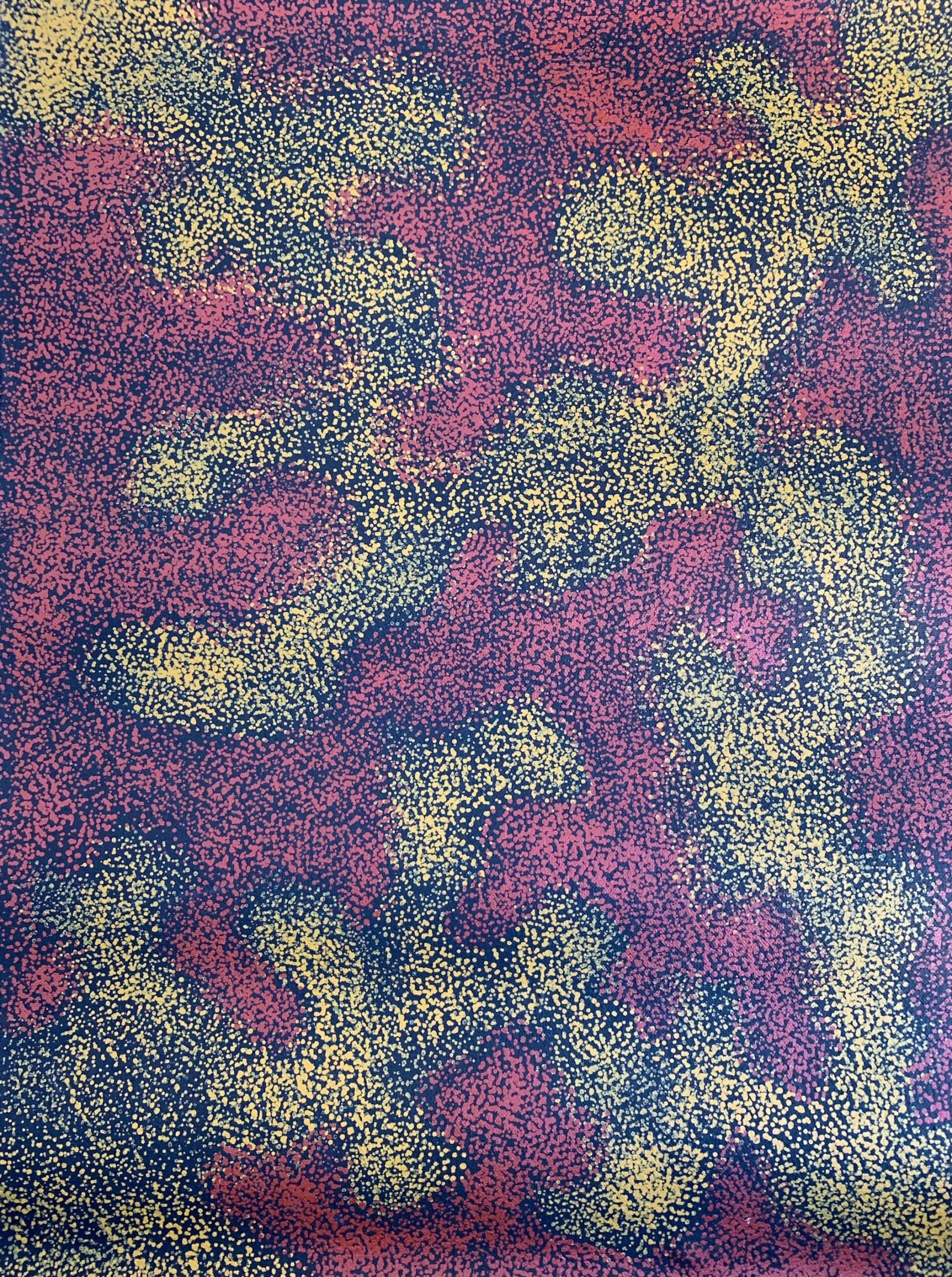 Anna Petyarre '4847'