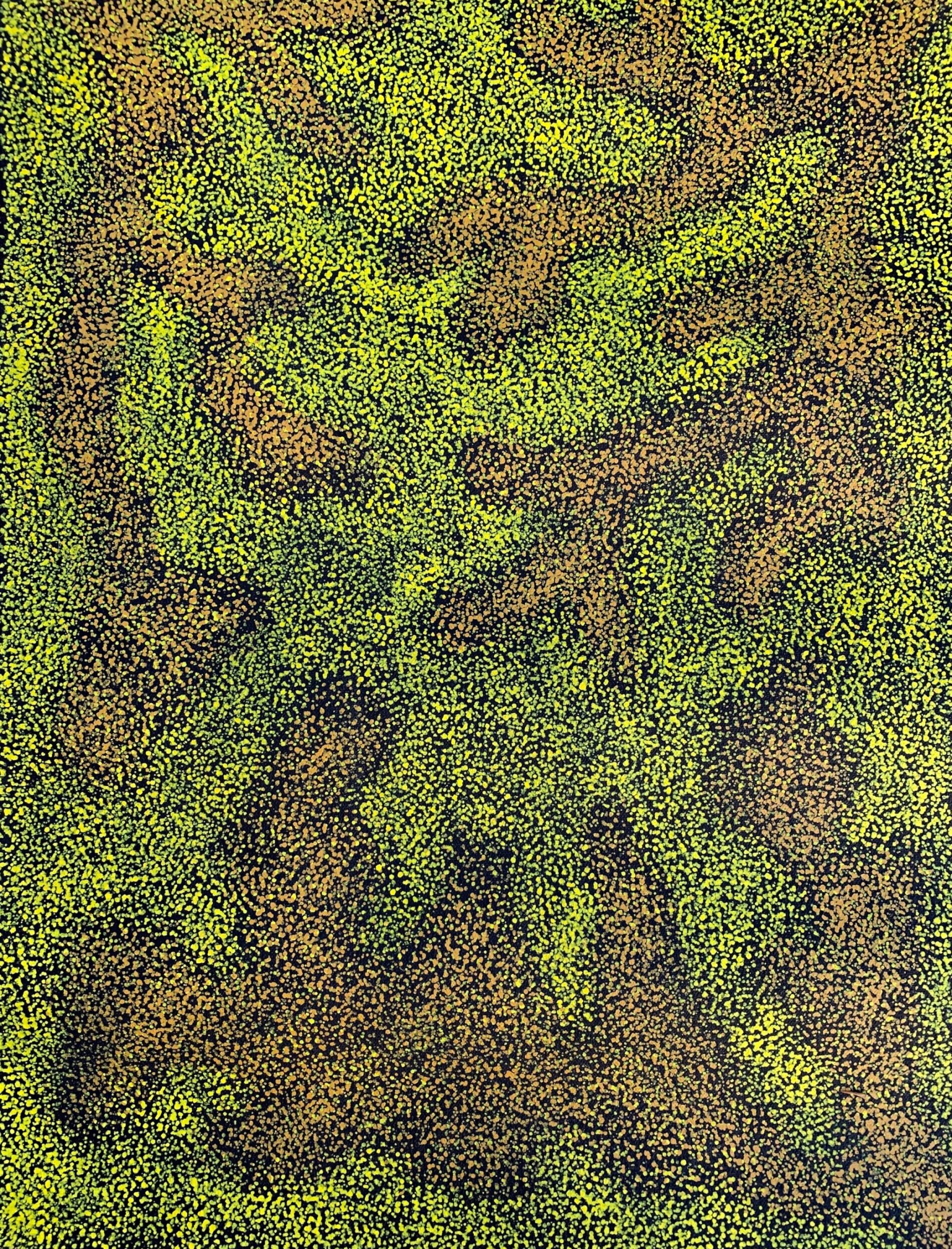 Anna Petyarre '4844'