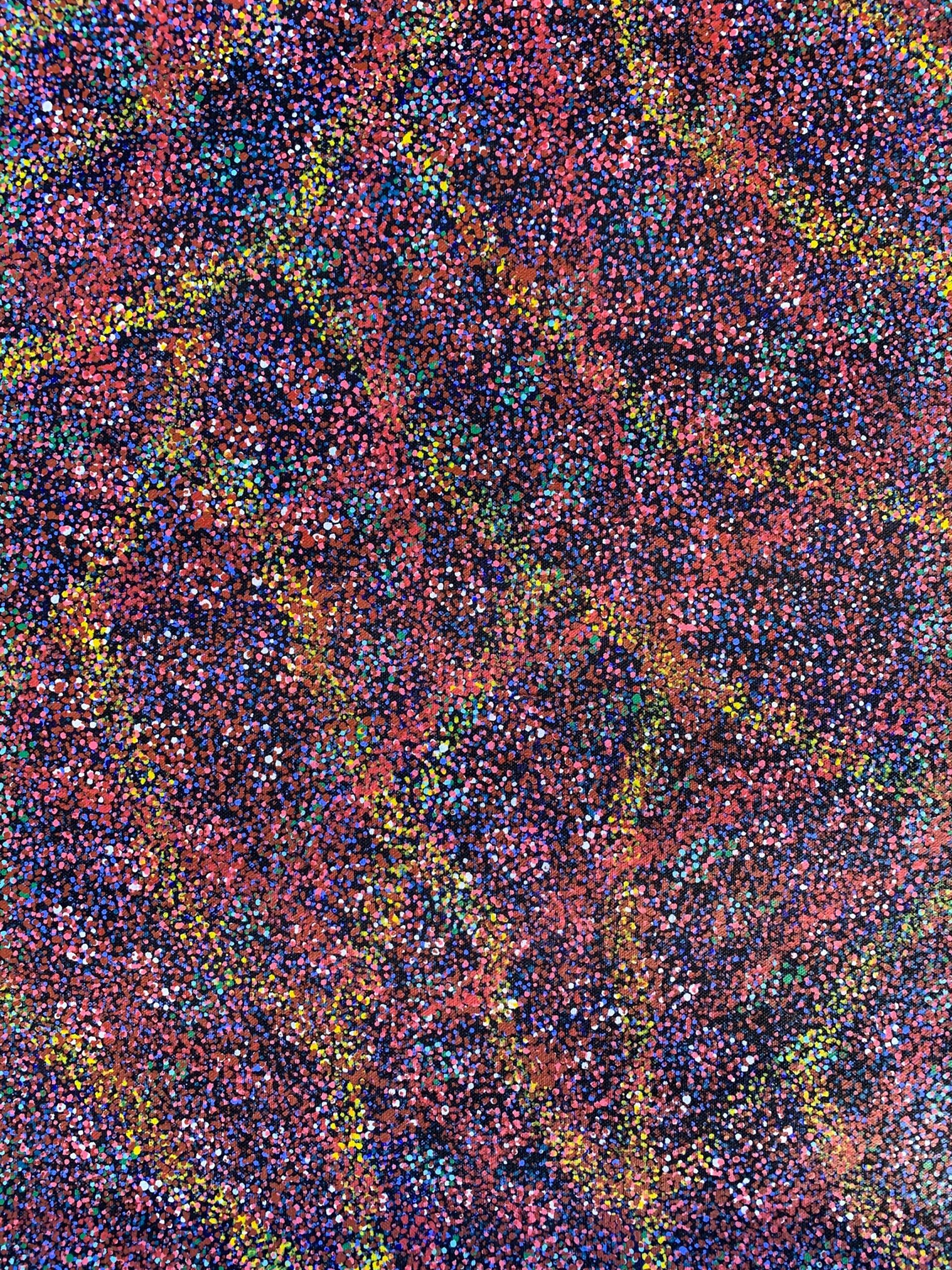 Joy Petyarre '04832'