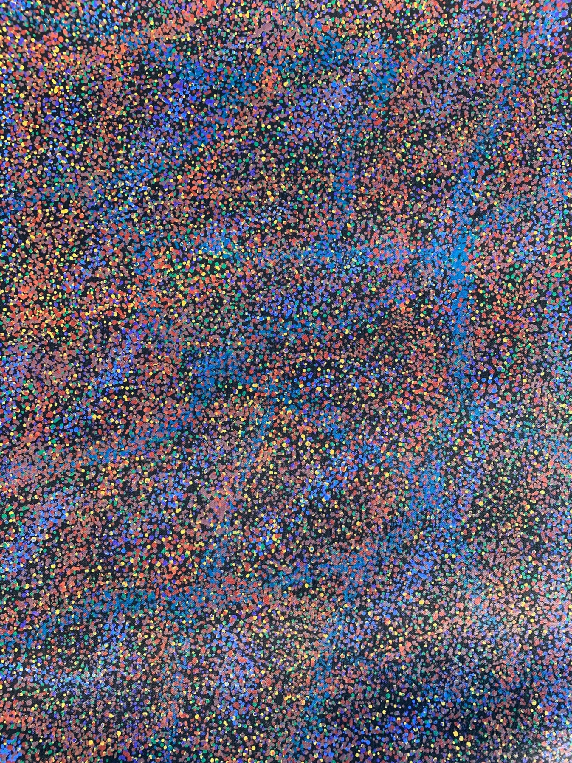 Joy Petyarre '04799'