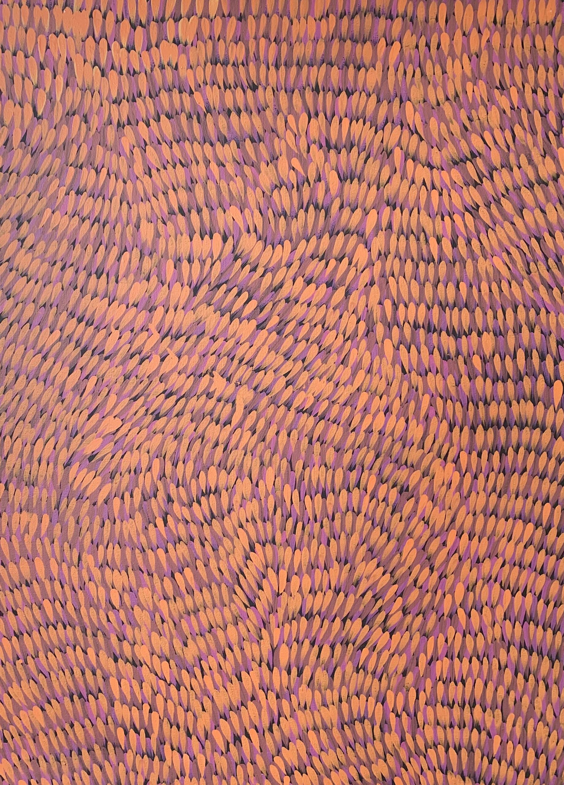 Gloria Petyarre '651'