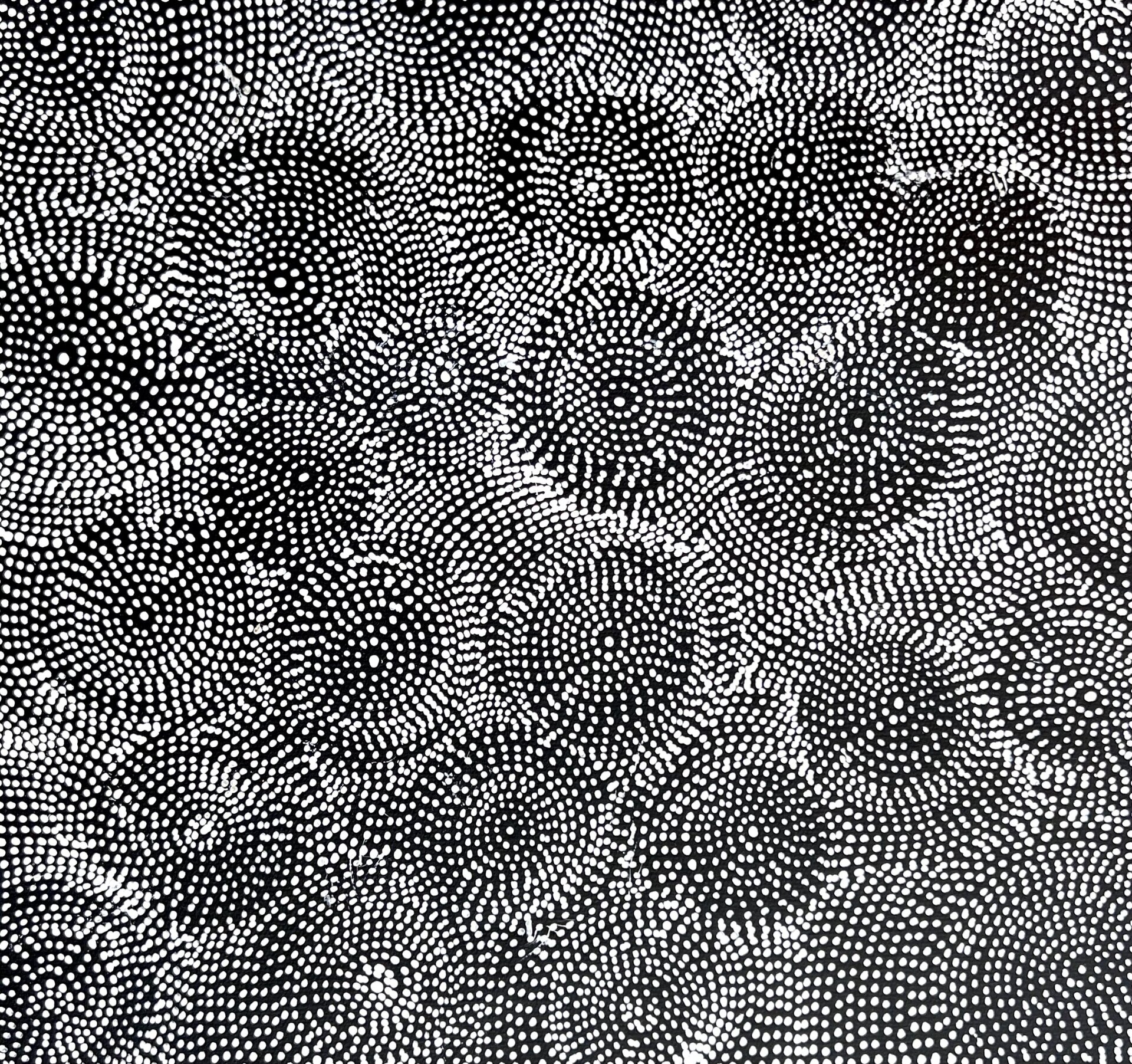 Janie Petyarre Morgan 'PG14008'