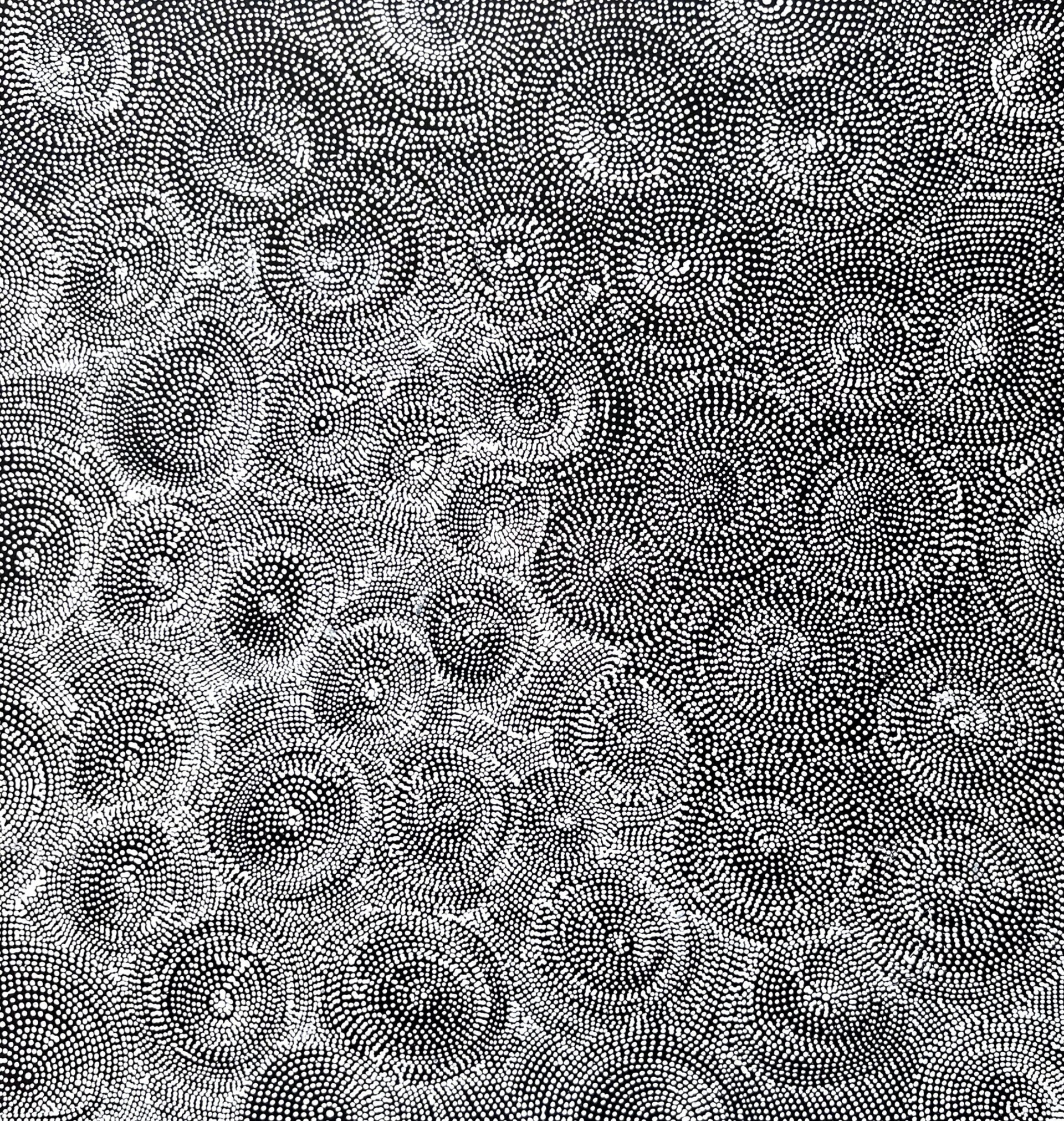 Janie Petyarre Morgan 'PG14010'