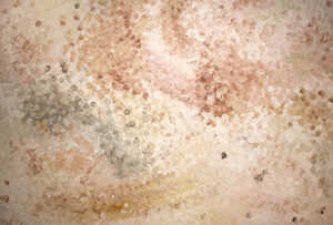 Freddy Purla 'PG30198'