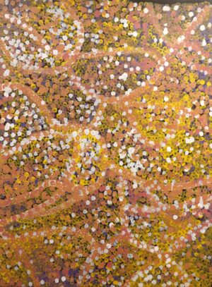 Emily Kame Kngwarreye 'PGEK03927'