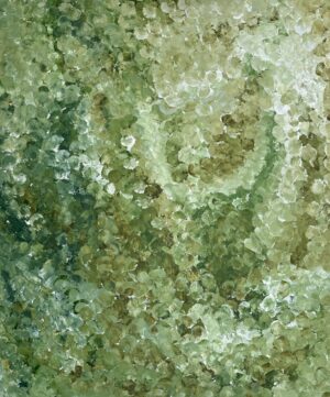 Freddy Purla 'PG30262'